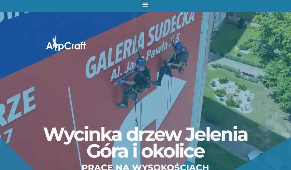 article